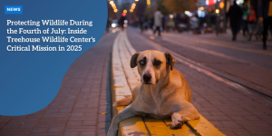 News – Coalition Shifts Stance on Australia’s 2030 Climate Target, Deeming 43% Emissions Reduction Unrealistic (6)